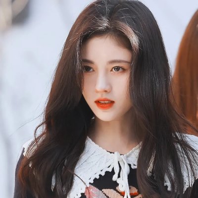 鸽